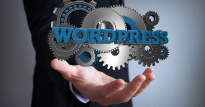 Welches ist das richtige WordPress Theme für Ihre Webseite?